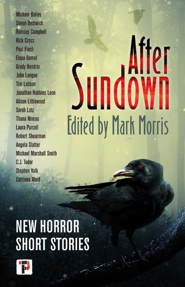 After Sundown (The Flame Tree Book of Horror) book cover by 