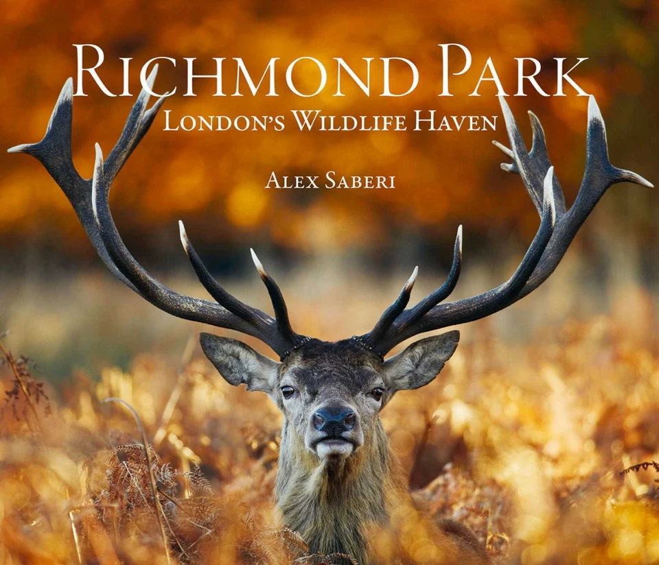 Richmond Park: London's Wildlife Haven book cover by 