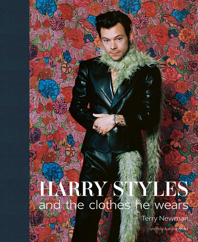 Harry Styles: and the clothes he wears (the clothes they wear) book cover by Terry Newman
