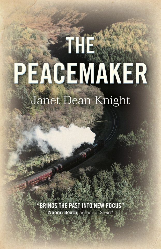 The Peacemaker: A Novel book cover by Janet  Dean Knight