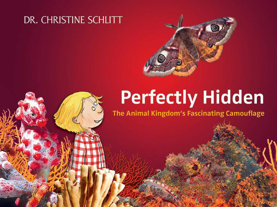 Perfectly Hidden: The Animal Kingdom's Fascinating Camouflage book cover by Christine Schlitt