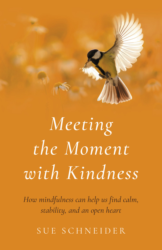 Meeting the Moment with Kindness: How Mindfulness Can Help Us Find Calm, Stability, and an Open Heart book cover by Sue Schneider