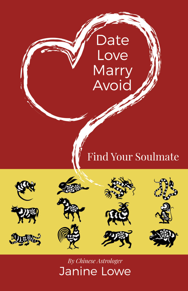Date, Love, Marry, Avoid: Find Your Soulmate book cover by Janine Lowe