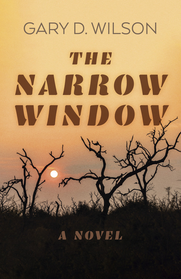 The Narrow Window: A Novel book cover by Gary D. Wilson