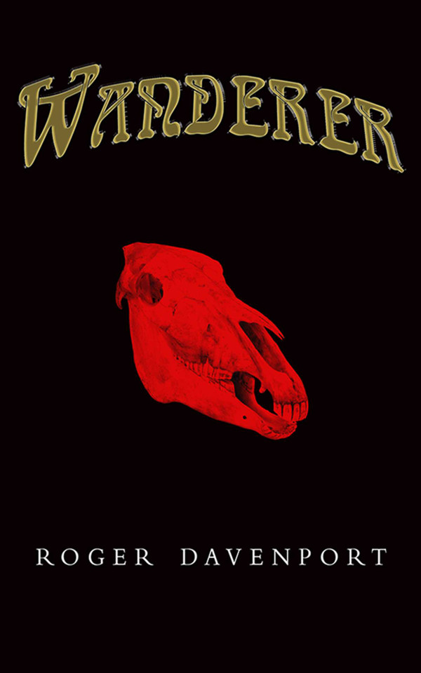 Wanderer book cover by Roger Davenport