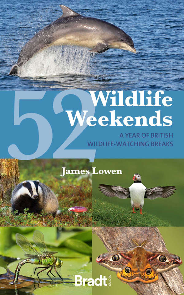 52 Wildlife Weekends: A Year of British Wildlife-Watching Breaks book cover by James Lowen