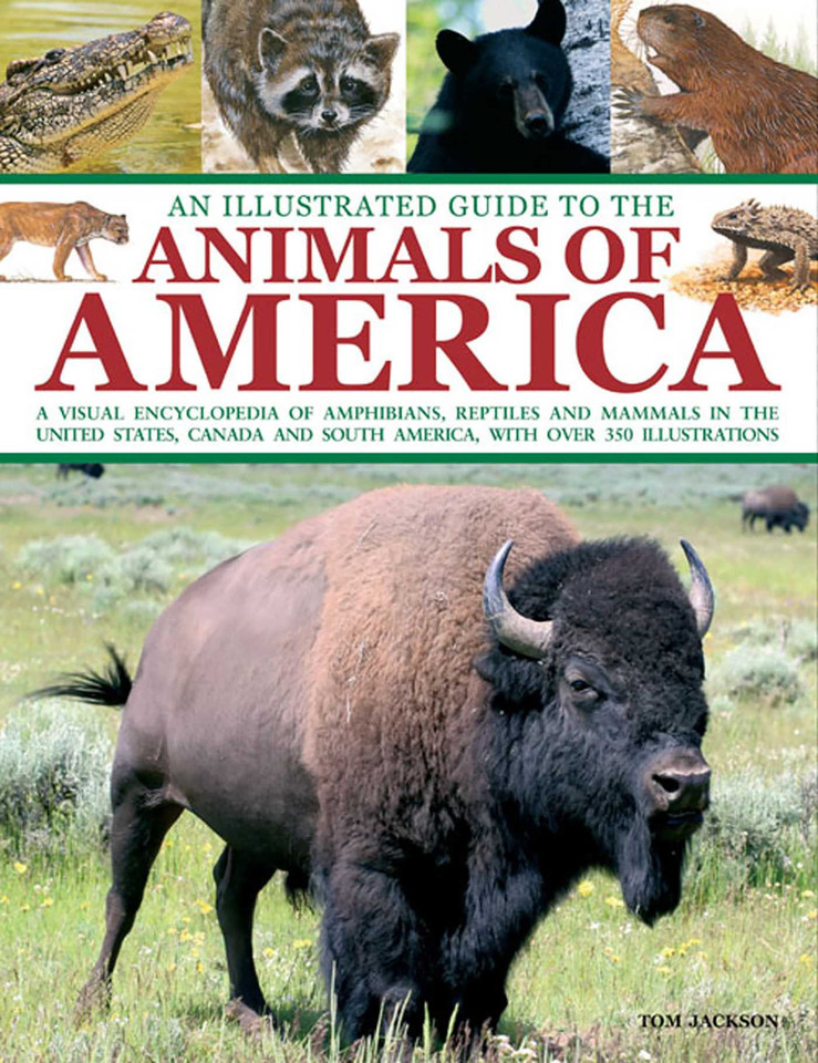 Illustrated Guide To The Animals of America: A visual encyclopedia of amphibians, reptiles and mammals in the United States, Canada and South America, with over 350 illustrations book cover by Tom Jackson
