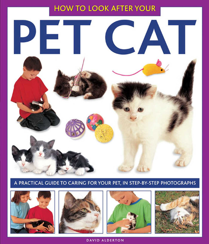 How To Look After Your Pet Cat: A practical guide to caring for your pet, in step-by-step photographs book cover by David Alderton
