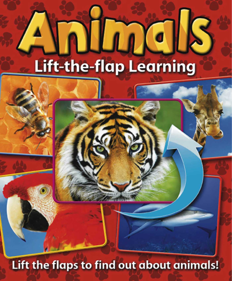 Lift-the-Flap Learning: Animals: Lift the Flaps to Find Out About Animals! book cover by Anness Publishing Ltd