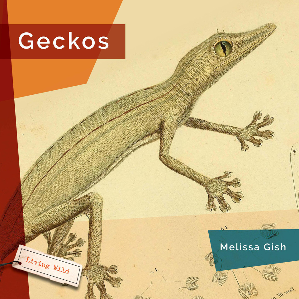Geckos book cover by Melissa Gish