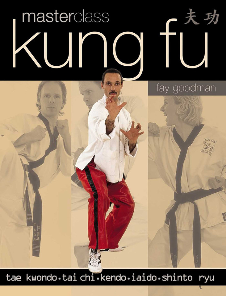 Masterclass Kung Fu book cover by Fay Goodman