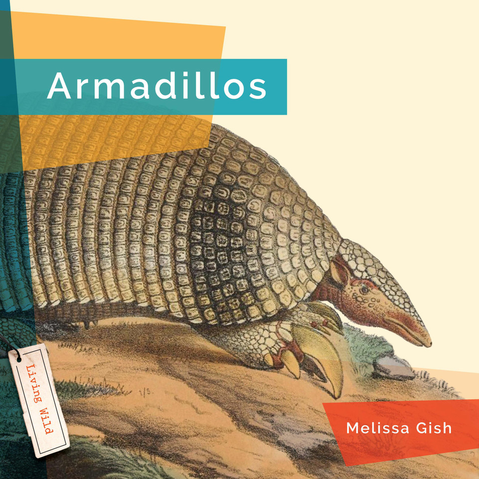 Armadillos book cover by Melissa Gish