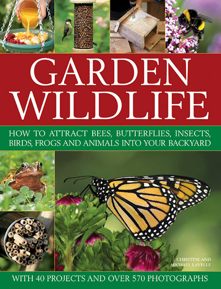 Garden Wildlife: How To Attract Bees, Butterflies, Insects, Birds, Frogs And Animals Into Your Backyard book cover by Michael Lavelle, Christine Lavelle