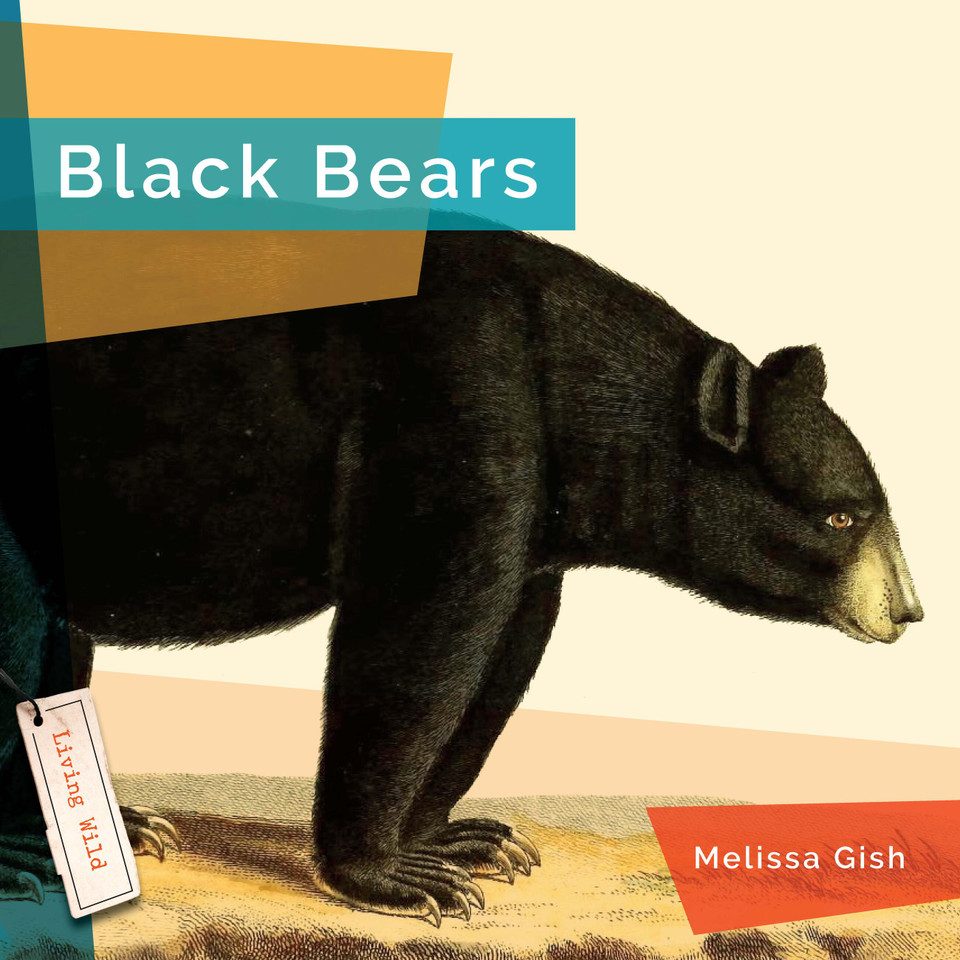 Black Bears book cover by Melissa Gish