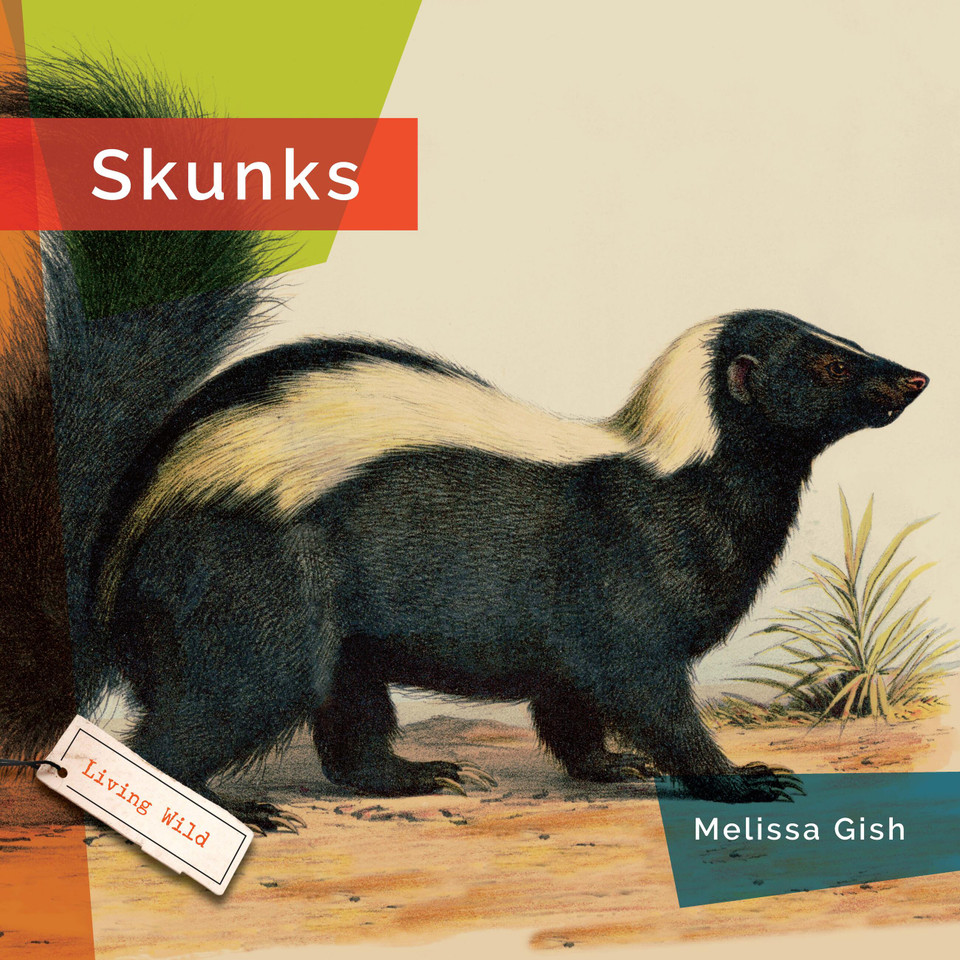 Skunks book cover by Melissa Gish