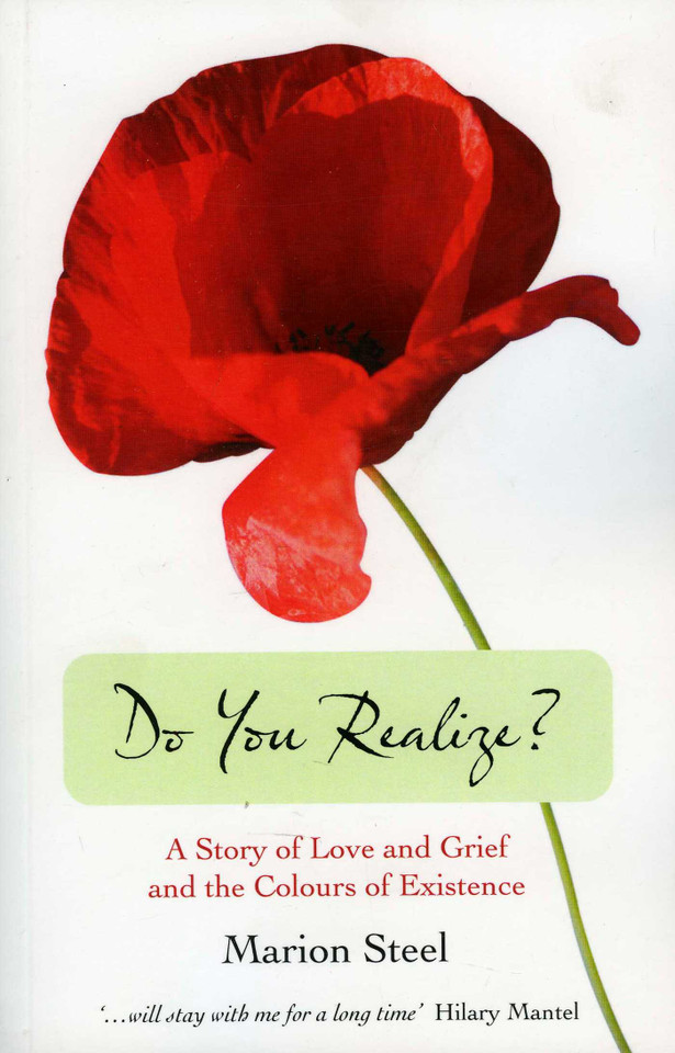 Do You Realize?: A Story of Love and Grief and the Colours of Existence book cover by Marion Steel