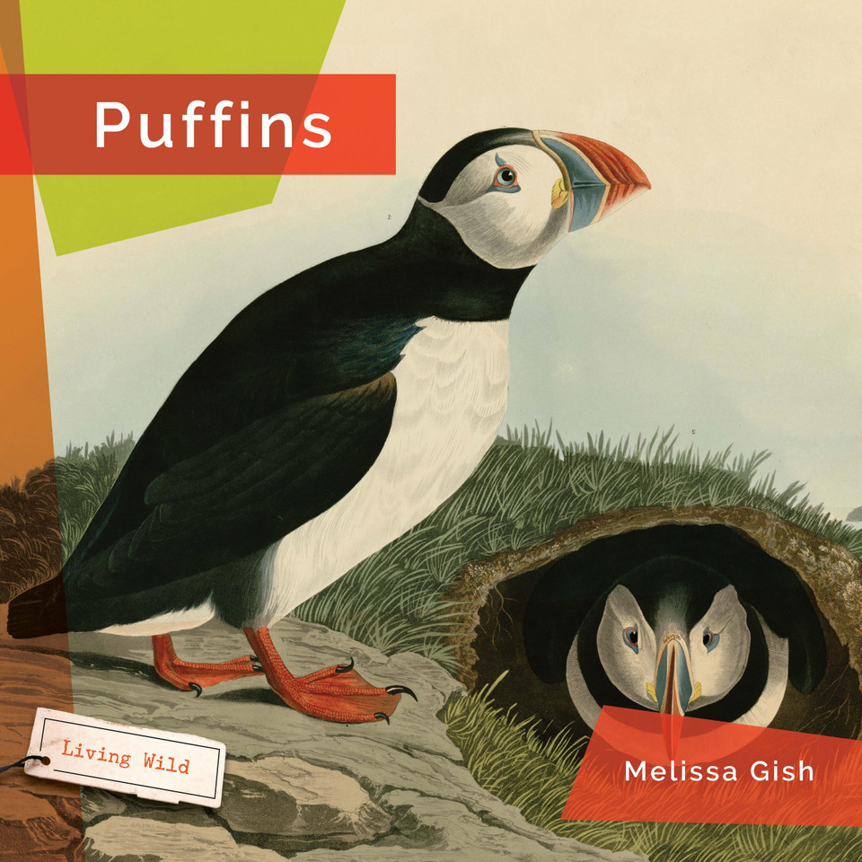 Puffins book cover by Melissa Gish
