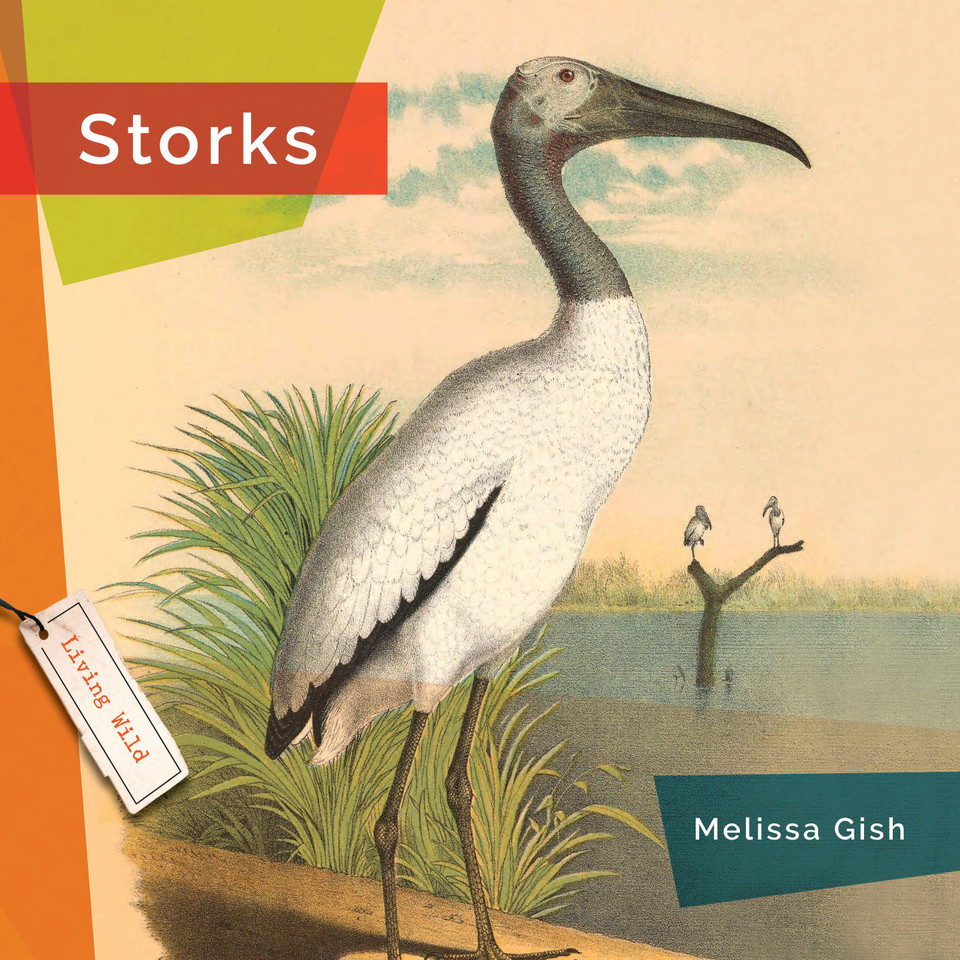 Storks book cover by Melissa Gish