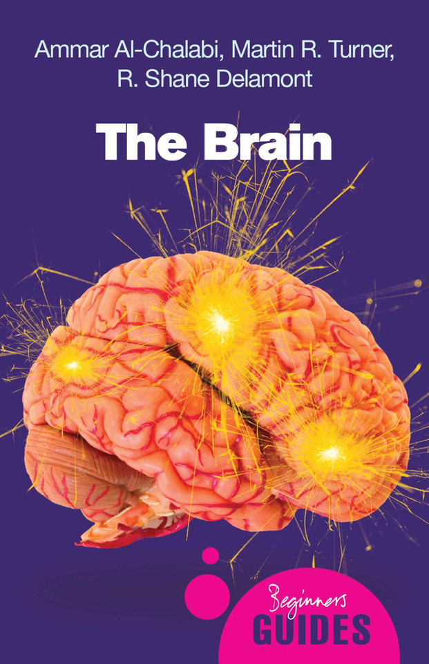 The Brain: A Beginner's Guide (Beginner's Guides) book cover by Ammar al-Chalabi, Martin Turner, R. Shane Delamont