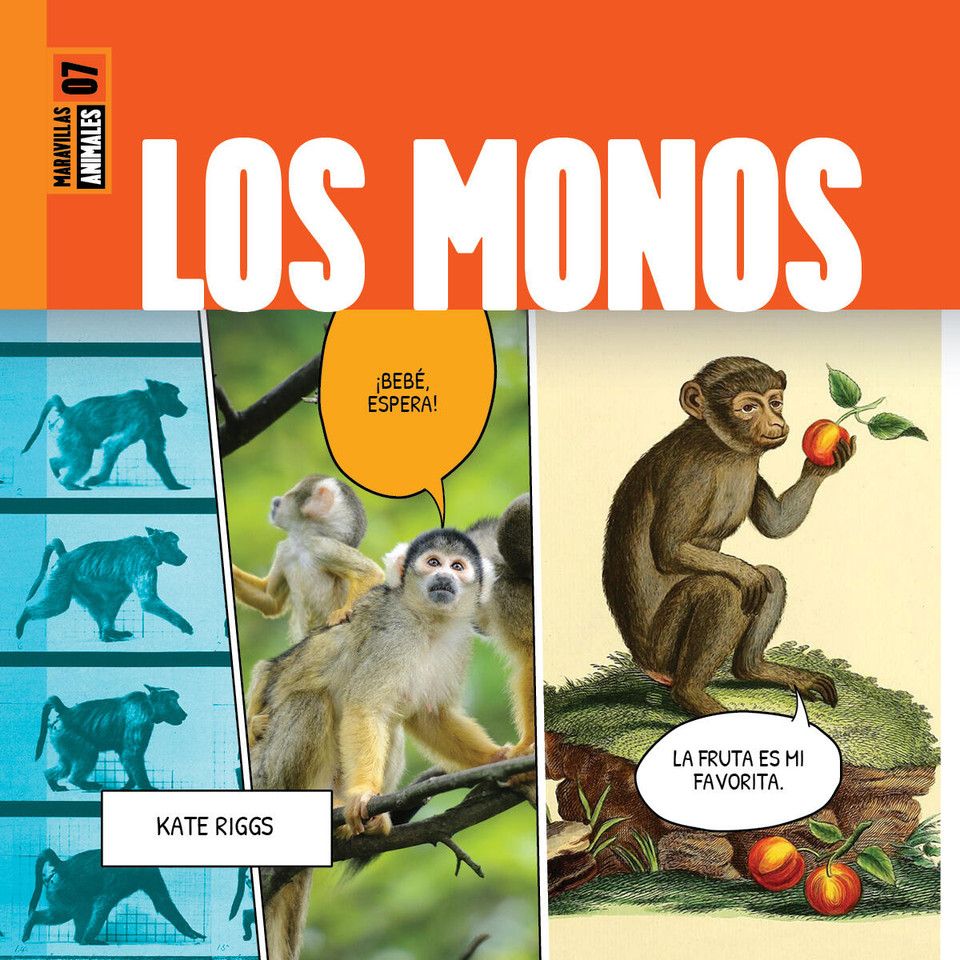 Los monos book cover by Kate Riggs