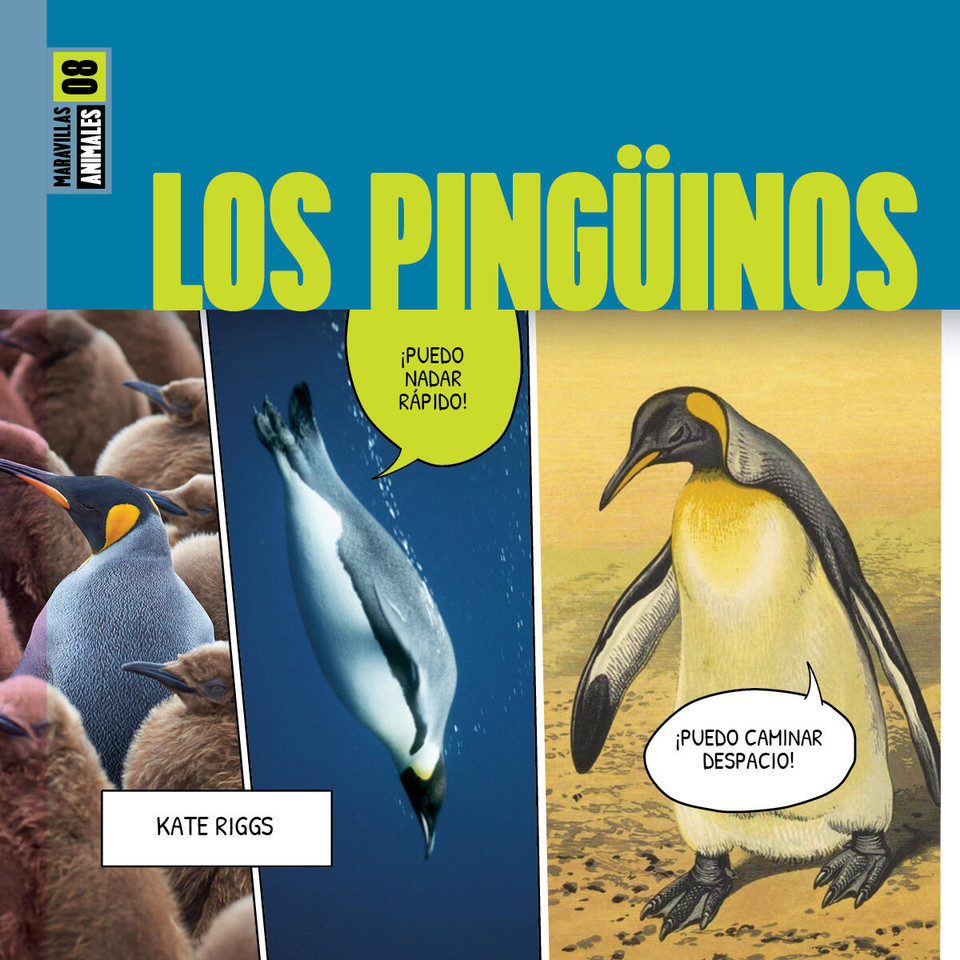 Los pingüinos book cover by Kate Riggs