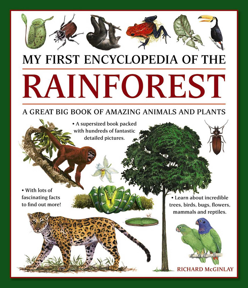 My First Encylopedia of the Rainforest: A Great Big Book Of Amazing Animals And Plants book cover by Richard McGinlay