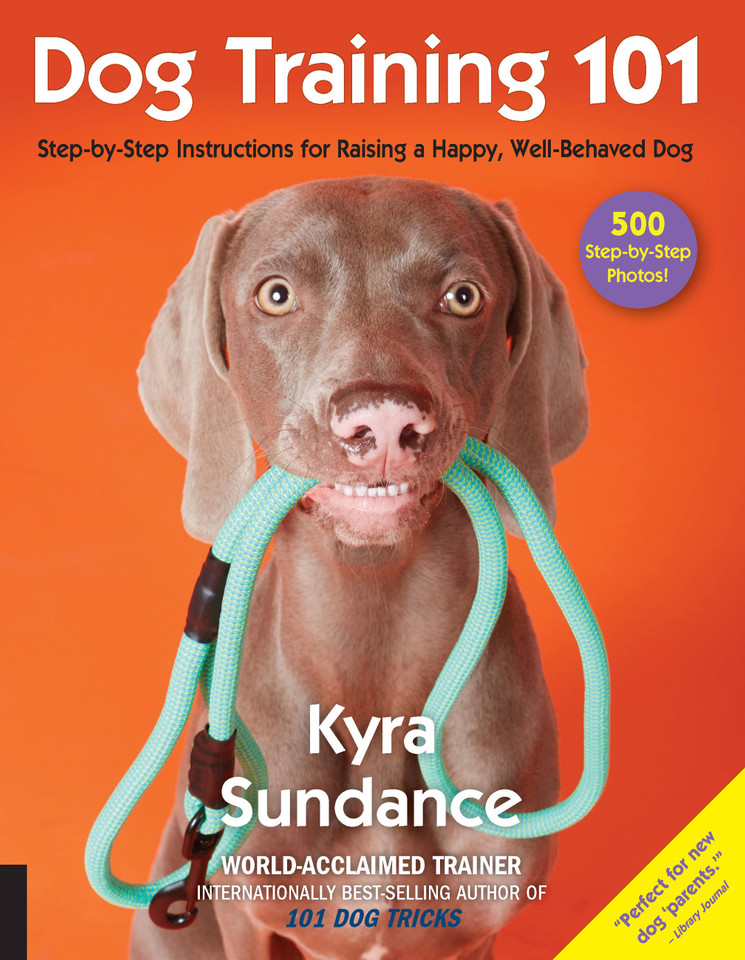 Dog Training 101: Step-by-Step Instructions for raising a happy well-behaved dog (Dog Tricks and Training) book cover by Kyra Sundance