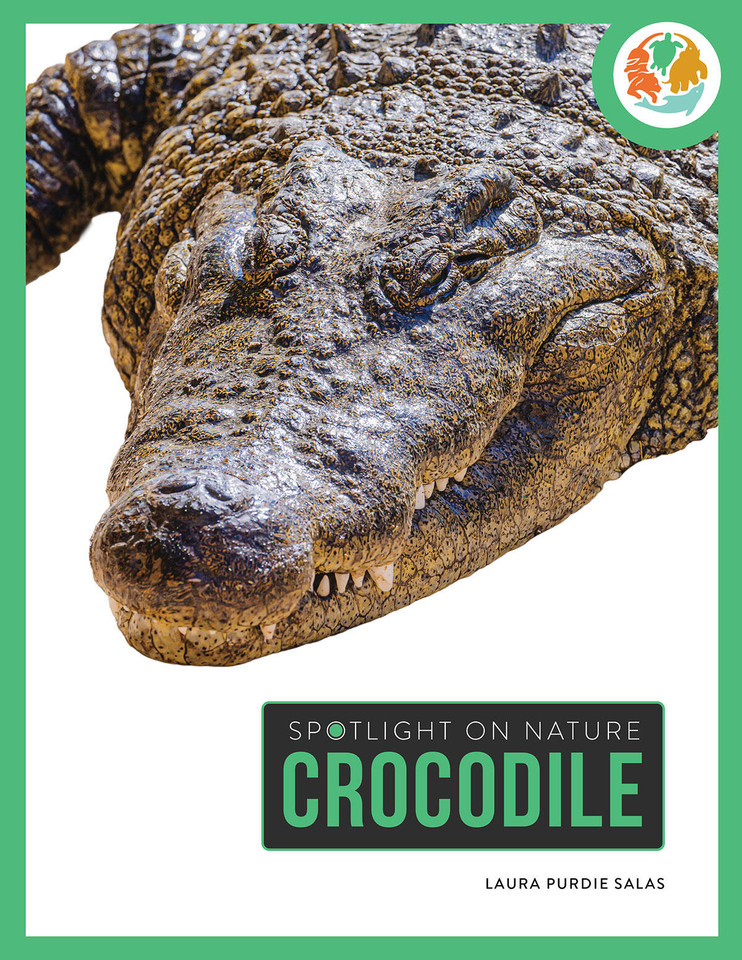 Crocodile book cover by Laura Salas
