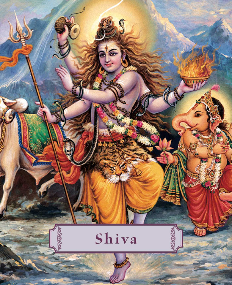 Shiva: Lord of the Dance book cover by James H Bae