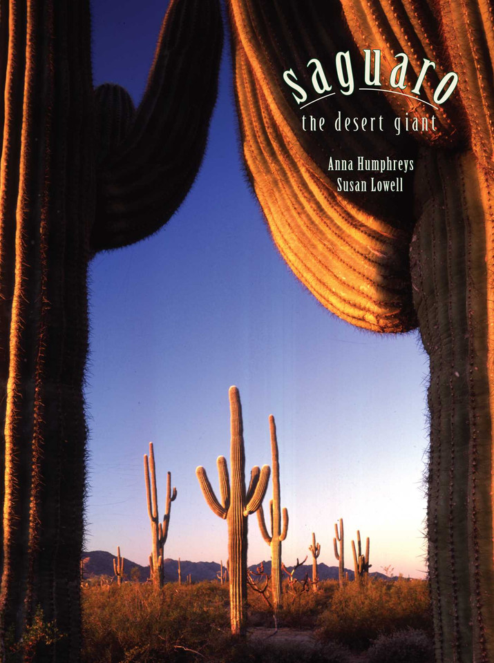 Saguaro: The Desert Giant book cover by Susan Lowell, Anna Humphreys
