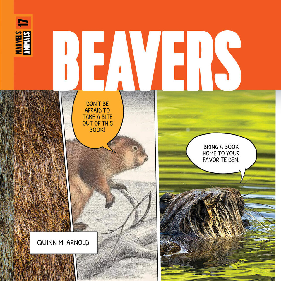 Beavers book cover by Quinn M. Arnold