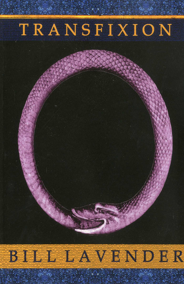 Transfixion book cover by Bill Lavender