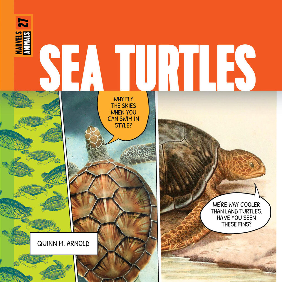 Sea Turtles book cover by Quinn M. Arnold