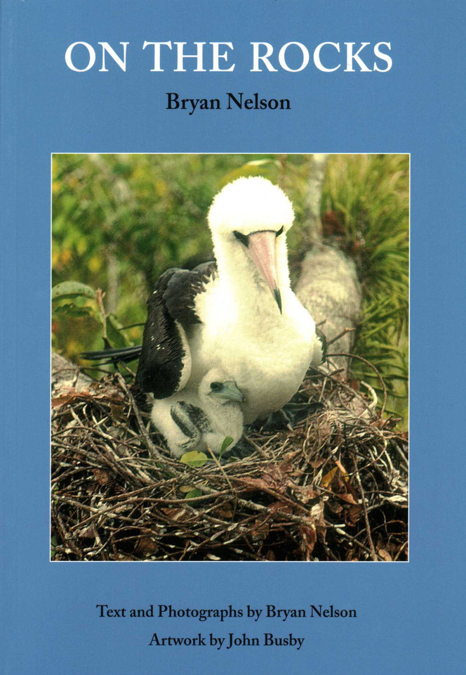 On the Rocks book cover by Bryan Nelson