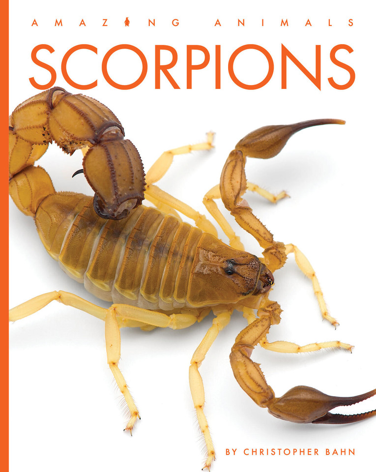 Scorpions book cover by Christopher Bahn