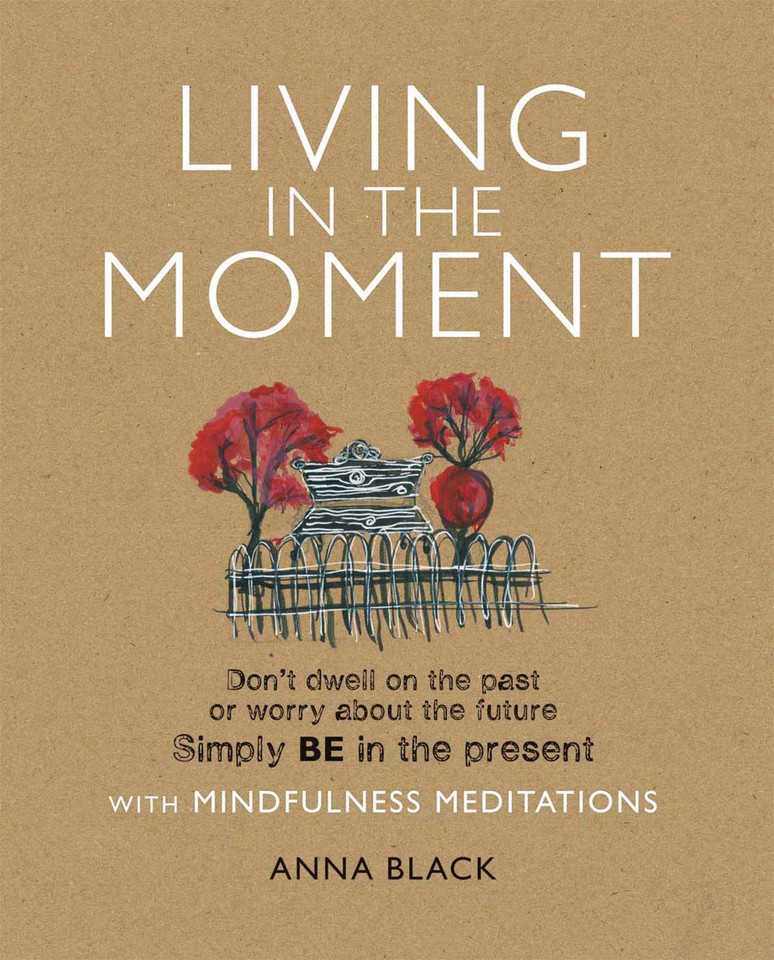 Living in the Moment: Don't dwell on the past or worry about the future. Simply BE in the present with mindfulness meditations book cover by Anna Black