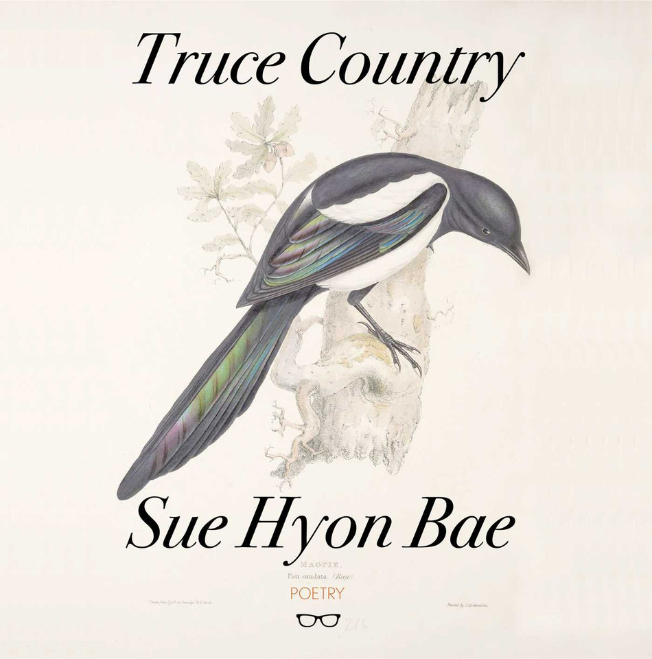 Truce Country book cover by SUE HYON BAE