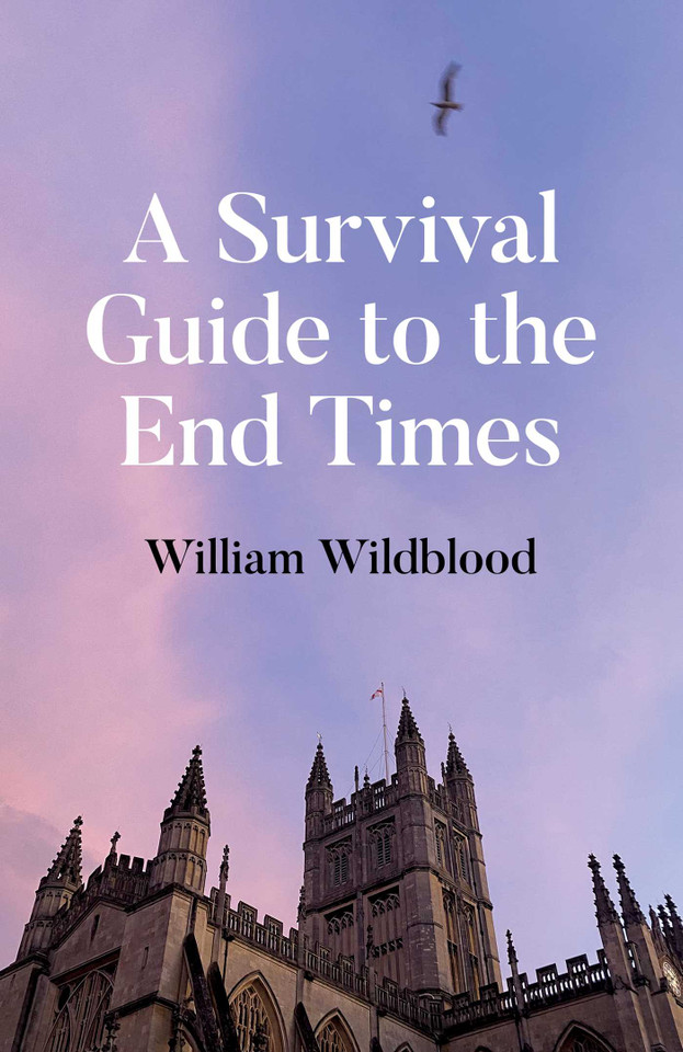 A Survival Guide to the End Times book cover by William Wildblood