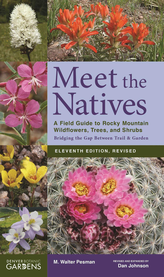 Meet the Natives book cover by Walter M. Pesman, Dan Johnson