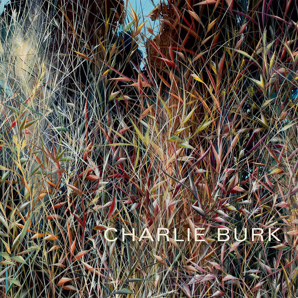 Charlie Burk: Journey in Abstraction book cover by 