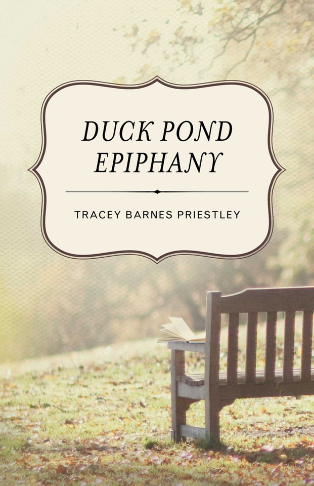 Duck Pond Epiphany: A Novel book cover by Tracey Barnes Priestley