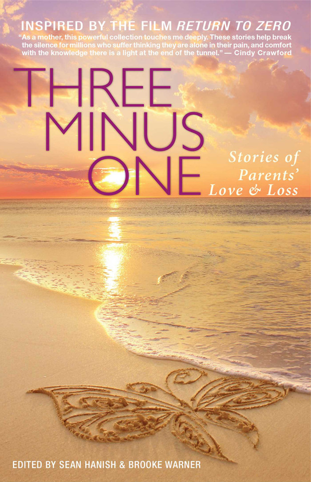Three Minus One: Stories of Parents' Love and Loss book cover by 