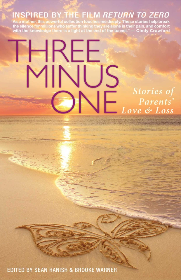 Three Minus One: Stories of Parents' Love and Loss book cover by 