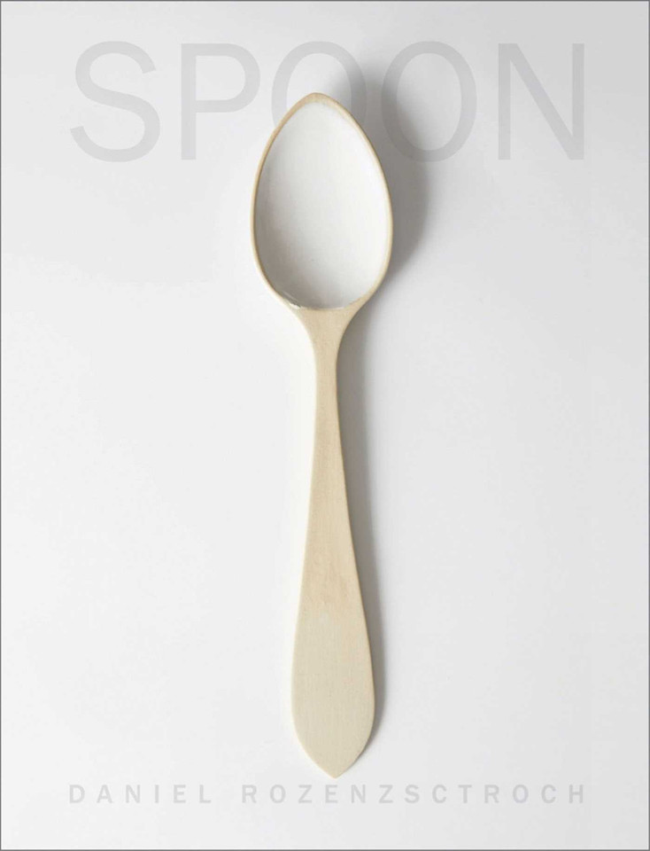 Spoon book cover by Daniel Rozensztroch