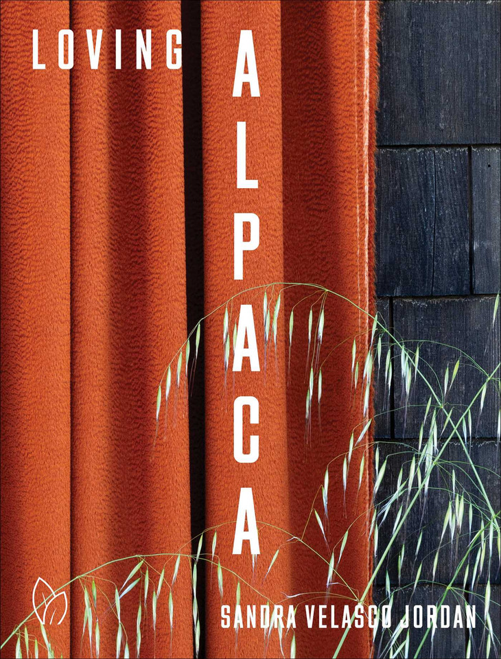 Loving Alpaca book cover by Sandra Velasco Jordan