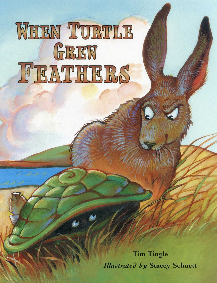 When Turtles Grew Feathers: A Tale from the Choctaw Nation book cover by Tim Tingle