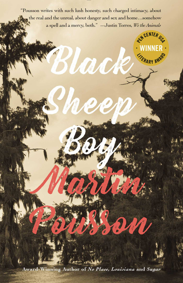 Black Sheep Boy book cover by Martin  Pousson
