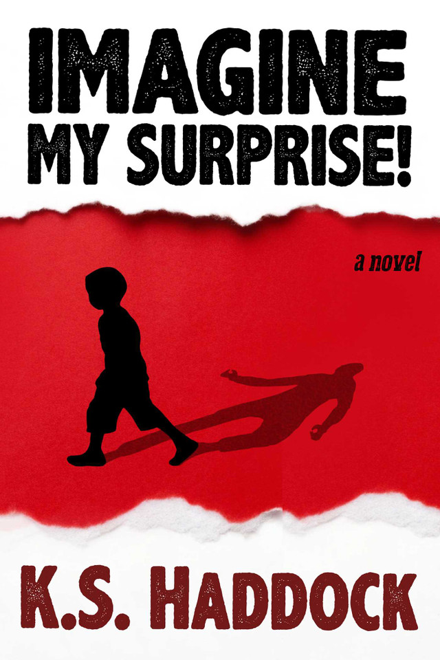 Imagine My Surprise!: A Novel book cover by K.S. Haddock