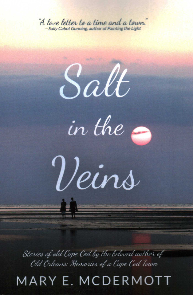 Salt in the Veins book cover by Mary E. McDermott