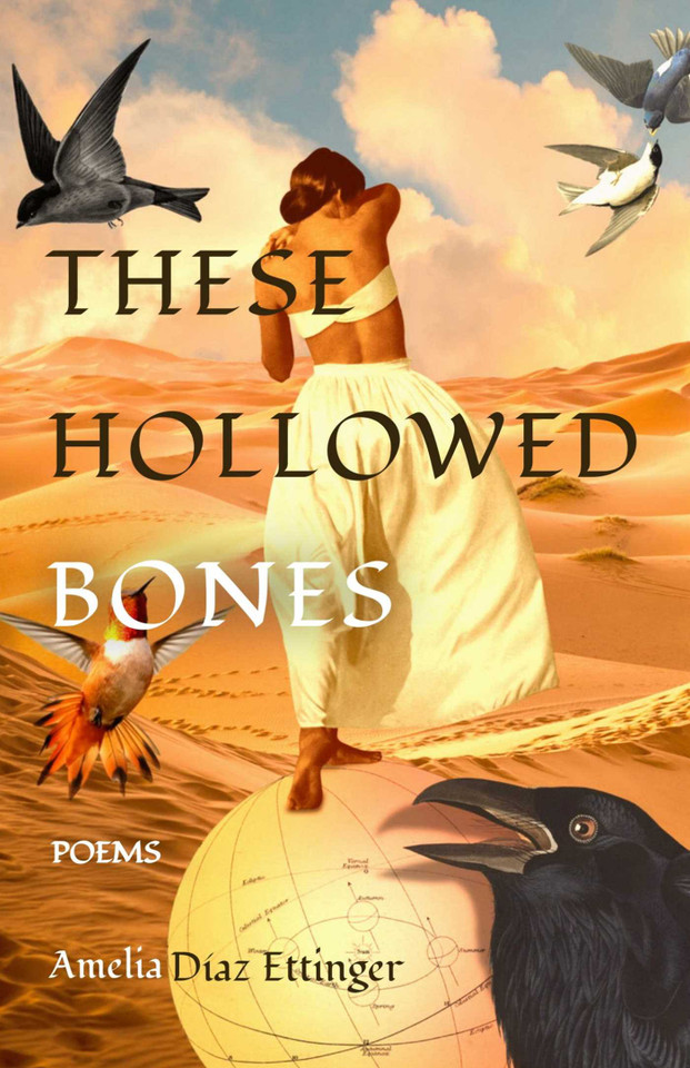 These Hollowed Bones: Poems book cover by Amelia Diaz Ettinger